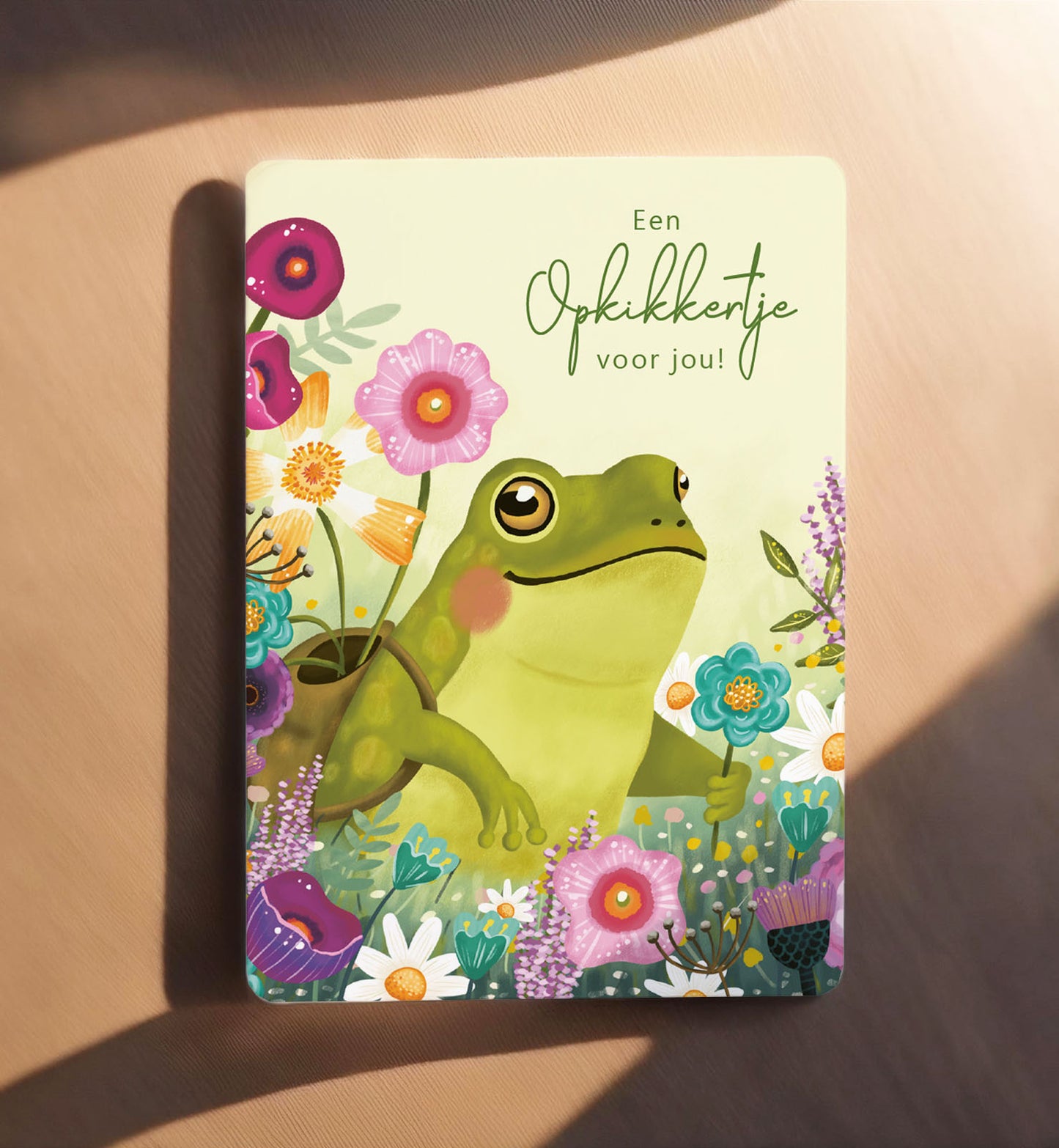 Kaart beterschap kikker opkikkertje bloemen dieren ansichtkaart