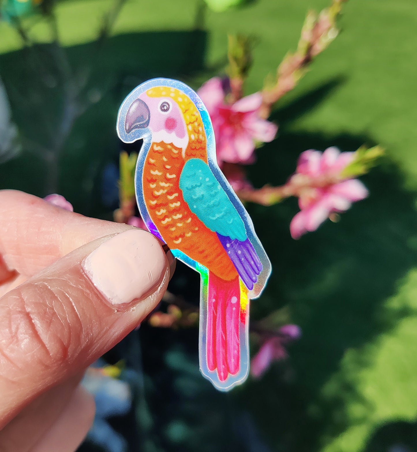 Sticker papegaai dier natuur holographisch vinyl