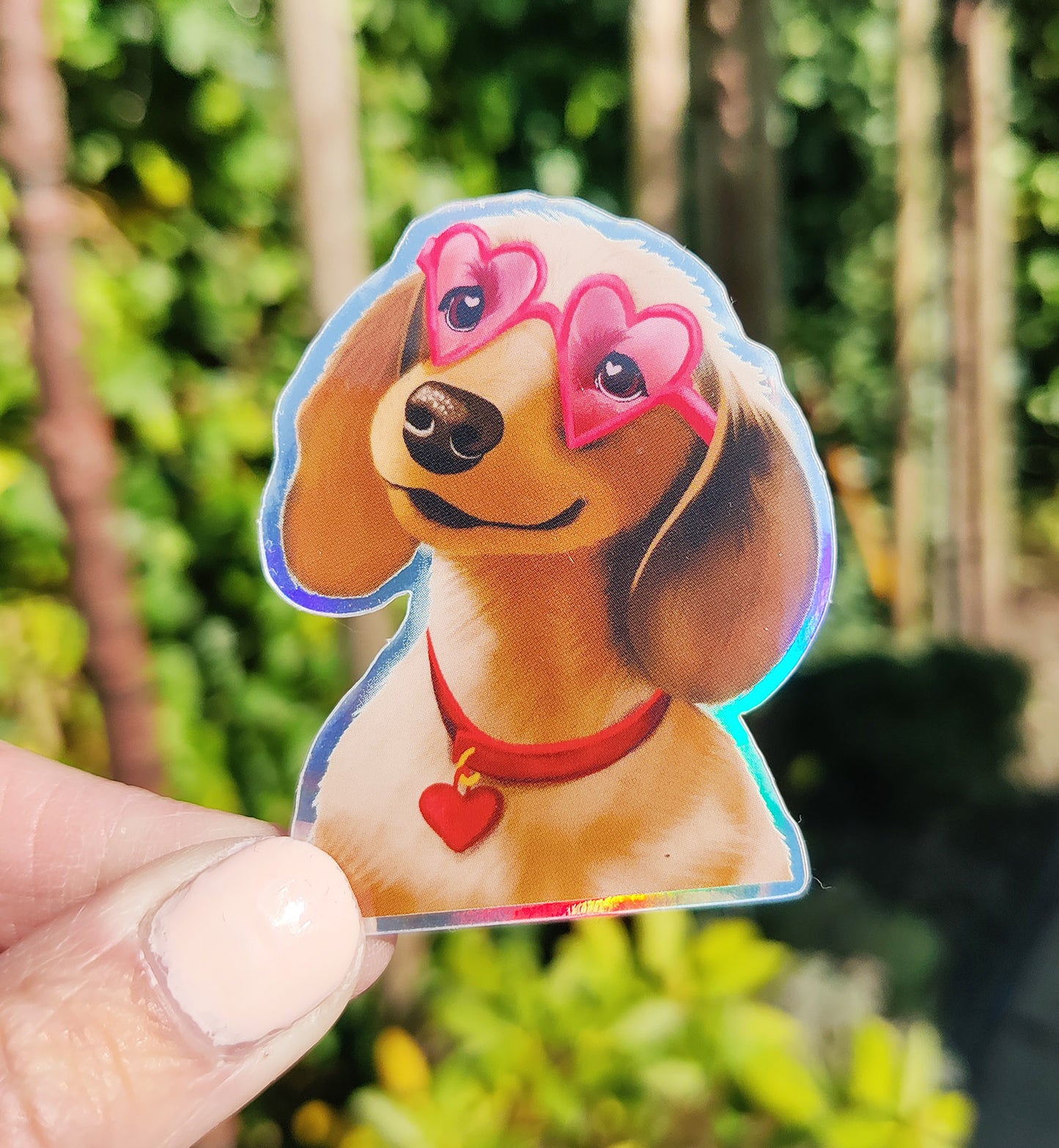 Sticker liefde grappig hond teckel holographisch vinyl