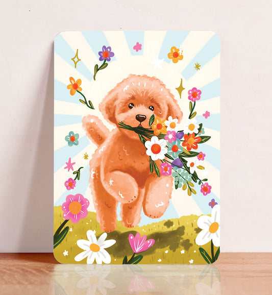 Kaart verjaardag Labradoodle hond bloemen zomaar bedankt ansichtkaart